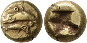 IONIA. Phokaia. Circa 625/0-522 BC. Hekte (Electrum, 9 mm, 2.59 g). Mother seal swimming to left with a young swimming to right below, each with annul...