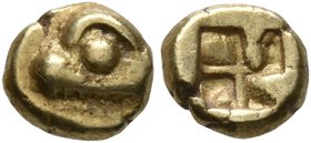 IONIA. Phokaia. Circa 625/600-550 BC. Myshemihekte – 1/24 Stater (Electrum, 6 mm, 0.64 g). Head of a seal to left. Rev. Quadripartite incuse square. B...
