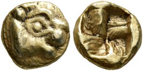 IONIA. Uncertain. Circa 600-550 BC. 1/24 Stater (Electrum, 6 mm, 0.62 g), Phokaic standard. Head of a lion to right. Rev. Incuse square. Rosen 328. SN...