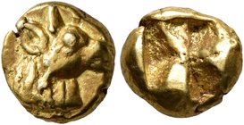 IONIA. Uncertain. Circa 600-550 BC. Hemihekte – 1/12 Stater (Electrum, 9 mm, 1.33 g), Phokaic standard. Head and neck of a horned animal to right. Rev...