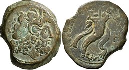PTOLEMAIC KINGS OF EGYPT. Ptolemy VIII Euergetes II (Physcon), as King in Kyrene, 163-145 BC. Drachm (Bronze, 46 mm, 70.68 g, 12 h), Kyrene. Diademed ...