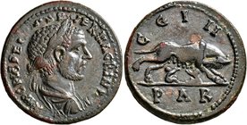 MYSIA. Parium. Macrinus, 217-218. 'Sestertius' (Orichalcum, 31 mm, 16.70 g, 7 h). IMP C M OPELIOS SEVER MACRINVS A Laureate and draped bust of Macrinu...