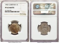 Edward VII Matte Proof Shilling 1902 PR63 NGC, KM800. Pewter in color with a light icy-blue tone. 

HID09801242017