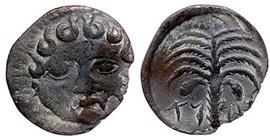 GRECHE - SICILIA - Motya - Litra - Testa della Gorgone di fronte /R Palmizio, sotto "m t v" Mont. 536; S. Ans. 508 (AG g. 0,49)
BB