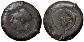 GRECHE - SICILIA - Siracusa (425-IV sec. a.C.) - Dracma - Testa di Atena a s. /R Stella marina tra due delfini Mont. 5082; S. Ans. 454 (AE g. 33,34)
...