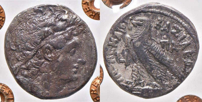 GRECHE - RE TOLEMAICI - Tolomeo XII, Neos Dionisio (80-58 a.C.) - Tetradracma - ...