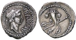 GRECHE - MAURITANIA - Giuba II (25 a.C.-23 d.C.) - Denario - Testa diademata a d. /R Cornucopia con scettro S. Cop. 593 (AG g. 3,59)
qSPL