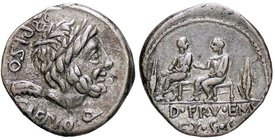 ROMANE REPUBBLICANE - CALPURNIA - L. Calpurnius Piso Caesonius e Q. Servilius Caepio (100 a.C.) - Denario - Testa di Saturno a d. /R I questori Piso e...