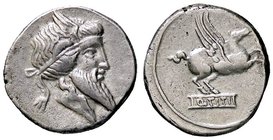 ROMANE REPUBBLICANE - TITIA - Q. Titius (90 a.C.) - Denario - Testa del dio Mutinus Titinus a d. /R Pegaso in volo a d. B. 1; Cr. 341/1 (AG g. 3,89)
...