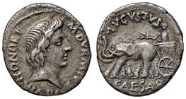 ROMANE IMPERIALI - Augusto (27 a.C.-14 d.C.) - Denario - Testa laureata dell'Onore a d. /R Augusto su biga di elefanti a s., con palma C. 427 (25 Fr.)...