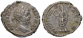 ROMANE IMPERIALI - Settimio Severo (193-211) - Denario - Testa laureata a d. /R L'Imperatore stante a s. con ramo d'ulivo e libro C. 203; RIC 160 (AG ...