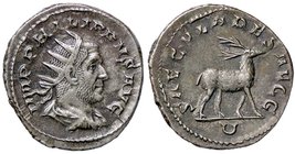ROMANE IMPERIALI - Filippo I (244-249) - Antoniniano - Busto radiato e drappeggiato a d. /R Cervo andante a d., all'esergo U C. 182; RIC 19 (AG g. 4,4...