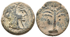 BARIA. As. 200-100 a.C. Villaricos (Almería). A/ Cabeza de Heracles con piel de león a derecha. R/ Palmera con frutos. FAB-213. Ae. 13,35g. MBC.