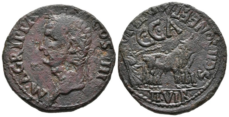 CAESARAUGUSTA. As. Epoca de Calígula. 37-41 a.C. Zaragoza. A/ Cabeza laureada de...