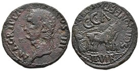 CAESARAUGUSTA. As. Epoca de Calígula. 37-41 a.C. Zaragoza. A/ Cabeza laureada de Agrippa a izquierda, leyenda interna M. AGRIPPA L. F. COS. III. R/ Yu...