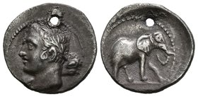 CARTAGONOVA. 1/4 Shekel. 220-205 a.C. Cartagena (Murcia). A/ Cabeza de Melkart-Heracles, laureada a izquierda con clava. R/ Elefante a derecha. FAB-48...