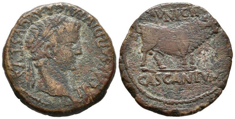 CASCANTUM. As. Epoca de Tiberio. 14-36 d.C. Cascante (Navarra). A/ Cabeza de Tib...