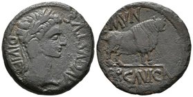 ERCAVICA. As. Epoca de Augusto. 27 a.C.-14 d.C. Cañaveruelas (Cuenca). A/ Cabeza laureada de Augusto a derecha, alrededor AVGVSTVS DIVI·F. R/ Toro a d...