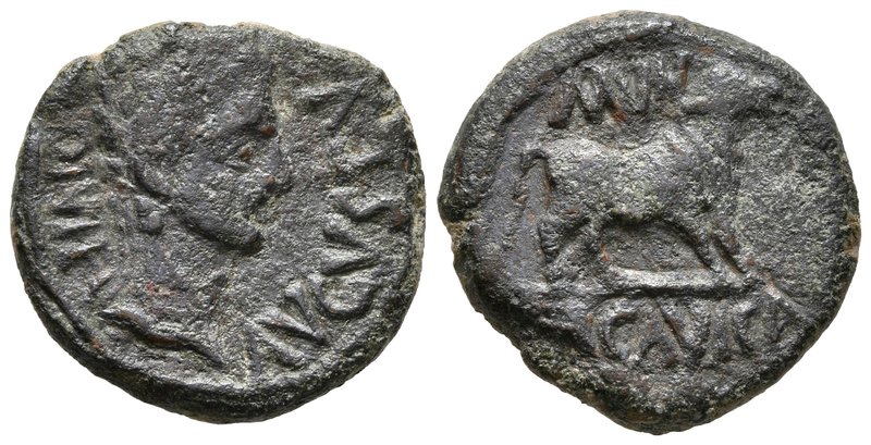 ERCAVICA. Semis. Epoca de Augusto. 27 a.C.-14 d.C. Castro de Santaver (Cuenca). ...