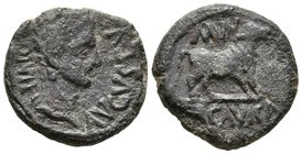 ERCAVICA. Semis. Epoca de Augusto. 27 a.C.-14 d.C. Castro de Santaver (Cuenca). A/ Cabeza laureada de Augusto a derecha, leyenda AVGVSTVS DIVI F. R/ T...