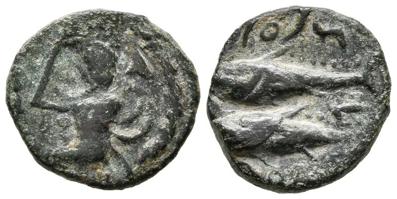 GADES. Semis. 100-20 a.C. Cádiz. A/ Cabeza de Hércules con piel de león a izquie...