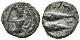 GADES. Semis. 100-20 a.C. Cádiz. A/ Cabeza de Hércules con piel de león a izquierda, delante clava. R/ Dos atunes a izquierda, encima y debajo leyenda...