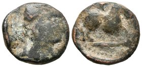 INCIERTAS FENICIAS. Semis. 50-20 a.C. A/ Cabeza masculina a derecha. R/ Caballo a derecha, detrás palma, debajo línea sin leyenda fenicia. FAB-2250var...