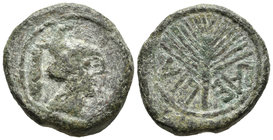 LAELIA. Semis. 50-20 a.C. Olivares (Sevilla). A/ Cabeza con casco de penacho a derecha. R/ Palma, leyenda invertida LAELIA. FAB-1651. Ae. 9,38g. MBC-.
