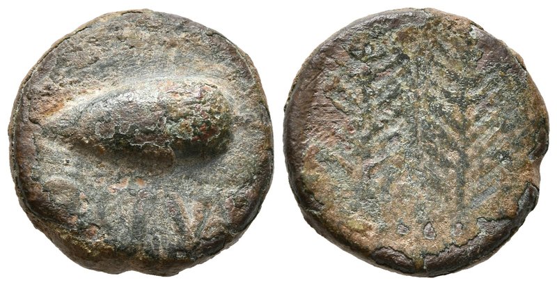 OSTUR. Semis. 150-50 a.C. Villalba del Alcor (Huelva). A/ Bellota a izquierda, d...