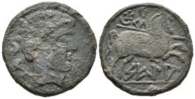 SEGIA-SEKIA. As. 120-20 a.C. Ejea de los Caballeros (Zaragoza). A/ Cabeza masculina barbada y con collar a derecha, detrás dos delfines. R/ Jinete lan...