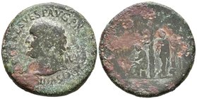 TITO. Sestercio. 80-81 a.C. Roma. A/ Busto laureado a izquierda. IMP T CAES VESP AVG P M TR P P COS VIII. R/ Palmera central con frutos, a izquierda J...