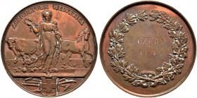 LUZERN 
 Bronzemedaille 1881. Landwirtschaftsausstellung in Luzern. Stempel von A. Bovy. 65.42 g. Vgl. Schweizer Medaillen 205. Vorzüglich / Extremel...