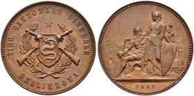 Schützentaler, Schützenmedaillen & Schützenvaria 
 Tessin / Ticino 
 Bronzemedaille 1882. Tiro cantonale liberta in Bellinzona. 32.67 g. Richter 137...