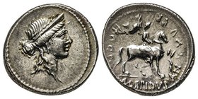 Gens Aemilia - M. Aemilius Lepidus
Denarius, Rome, 61 avant J.-C., AG 3.83 g. 
Avers: Tête feminine à droite. Derrière simpulum 
Revers : statue éques...