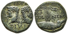 Augustus 27 avant J.C. - 14 après J.C.
Dupondius, Nemausus (Nimes), 10-14 après J.-C., AE 13.28g.
Ref : C 10, RIC 158, 
Conservation : TTB
