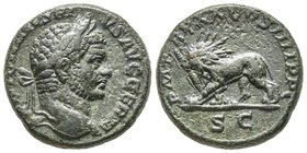 Caracalla 198-217
As, Rome, 217, AE 9.75 g. 
Ref : C 404, RIC 571a
Conservation : TTB