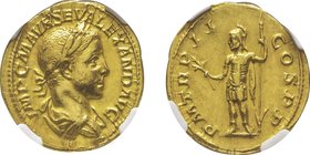 Severus Alexander 222-235
Aureus, Rome, 223, AU 6.54 g
Avers : IMP C M AVR SEV ALEXAND AVG Buste lauré et drapé à droite
Revers : P M TR P II COS P P ...