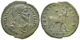 Julianus II 360-363
Double Maiorina, Antioche, 362-363, AE 8.29 g. Avers : D N F L IVLANVS P F AVG Buste diademé, drapé et cuirassé à droite Revers : ...
