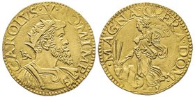 Carlo V 1516-1554
Doppia, Napoli, ND, AU 6.76 g.
Ref : MIR 126/1, Pannuti-Riccio 5a, Fr. 831
Ex Vente St. James n° 36, lot 550
Conservation : infimes ...