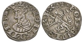 Parma
Repubblica, a nome di Giovanni di Boemia 1331-1335
Denaro grosso da 12 Denari imperiali, AG 1.14 g.
Avers : IOHANNES Busto frontale del Re, coro...