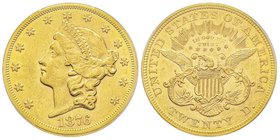 20 Dollars, Philadelphia, 1876, AU 33.43 g.
Ref : Fr. 175, KM#74.2 
Conservation : PCGS AU58