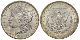 Morgan Dollar, Philadelphia, 1885, AG 27 g.
Ref : KM#110 
Conservation : PCGS MS66