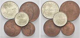 COLONIA SOMALA
Amministrazione Fiduciaria Italiana della Somalia, 1950-1960.
Serie completa 1950 A.F.I.S. senza cartoncino.
Ni e Æ
Dr.
Rv. -
Gig...
