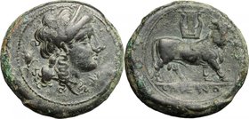 Greek Italy. Samnium, Southern Latium and Northern Campania, Cales. AE 20 mm, c. 265-240 BC. D/ Laureate head of Apollo right; behind, ear; below chin...