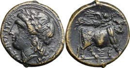 Greek Italy. Central and Southern Campania, Neapolis. AE 20 mm, c. 275-250 BC. D/ NEOΠOΛITΩN. Laureate head of Apollo left; H benind. R/ Man-headed bu...