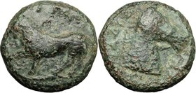 Greek Italy. Northern Apulia, Teate. AE 18 mm. 325-275 BC. D/ TIATI retrograde. Lion walking left. R/ BIΔAI [ ] retrograde. Head and neck of bridled h...