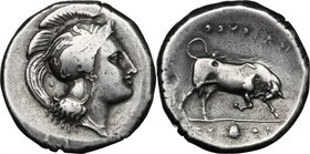 Greek Italy. Southern Lucania, Thurium. AR Distater, c. 350-300 BC. D/ Head of Athena right, wearing crested helmet decorated with griffin. R/ ΘOVPIΩN...