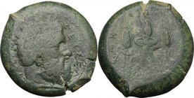 Sicily. Alaisa Etnea. Timoleon's Symmachy (343-341 BC). AE Litra. D/ IEYΣ EΛ-EYΘEPIOΣ. Head of Zeus Eleutherios right. R/ [AΛAIΣI]NΩN ΣY[MMAXIKON]. Li...