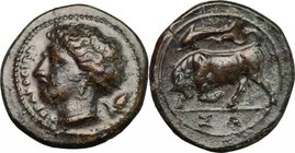 Sicily. Syracuse. Agathokles (317-289 BC). AE 16 mm. c. 317-310 BC. D/ ΣYPAKOΣIΩN. Head of Arethusa left; grain ear to right. R/ Bull butting left; ab...