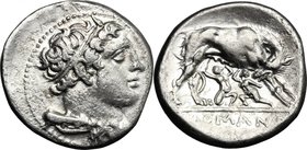 Anonymous. AR Didrachm, Neapolis mint (?) after 276 BC. D/ Head of Hercules right, hair bound with ribbon with club and lion's skin over shoulder. R/ ...